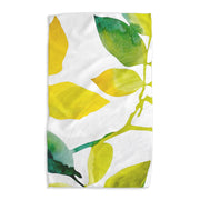 Botanical Watercolor Citrus